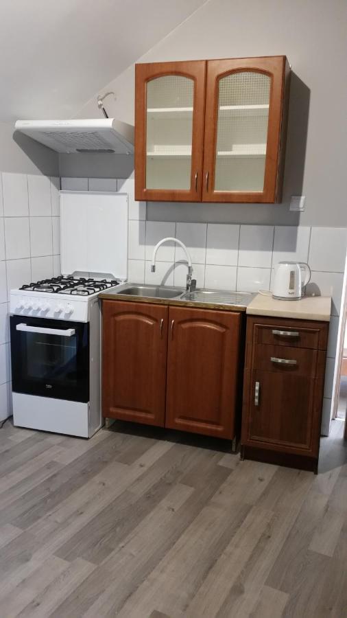 Pokoje Goscinne "U Karola" Pracownicze Ścinawa Dış mekan fotoğraf